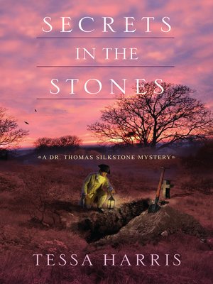 cover image of Secrets in the Stones